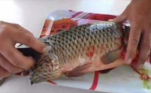 Как Почистить Рыбу от Чешуи Видео