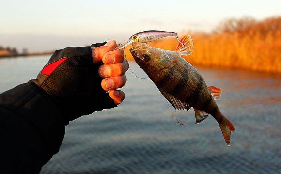 Как Быстро Почистить Окуня в Домашних Условиях