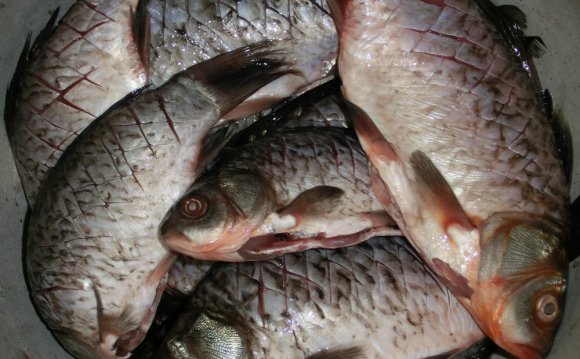 Как Чистить Рыбу от Костей Фото