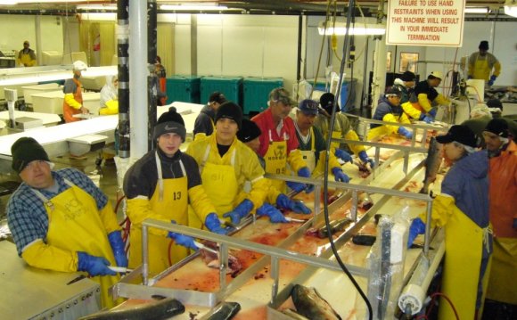 Чистить Рыбу на Аляске